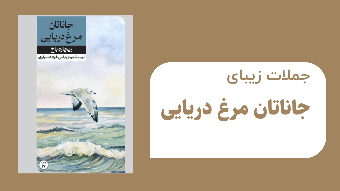جملات زیبایی جاناتان مرغ دریایی