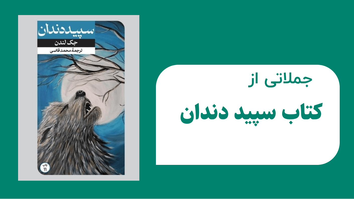 پیش فرض